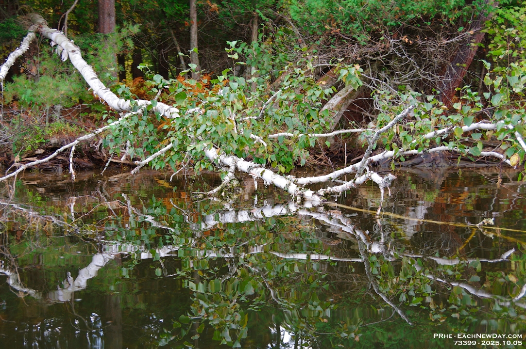 73399LeUsm - Kayaking on Lake Muskoka with John - Deb